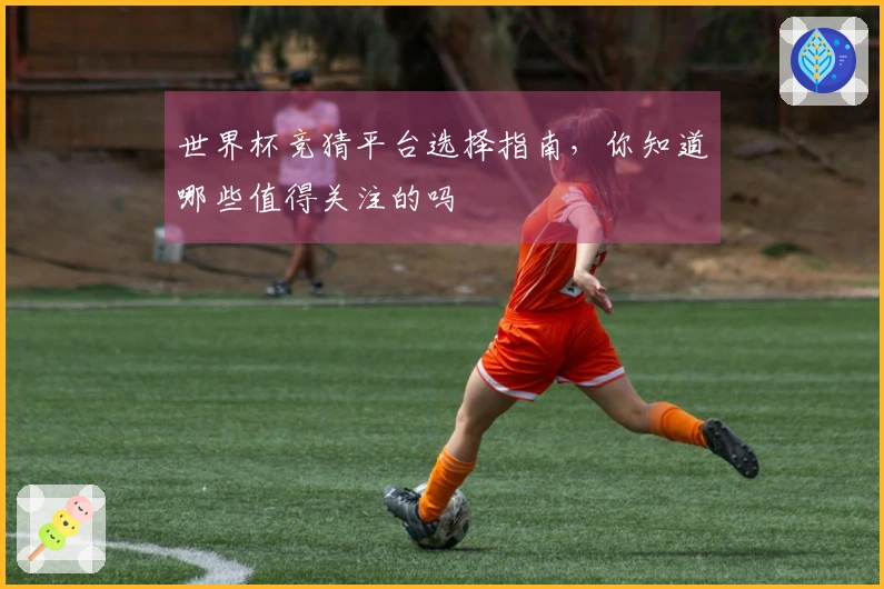 世界杯竞猜平台选择指南，你知道哪些值得关注的吗