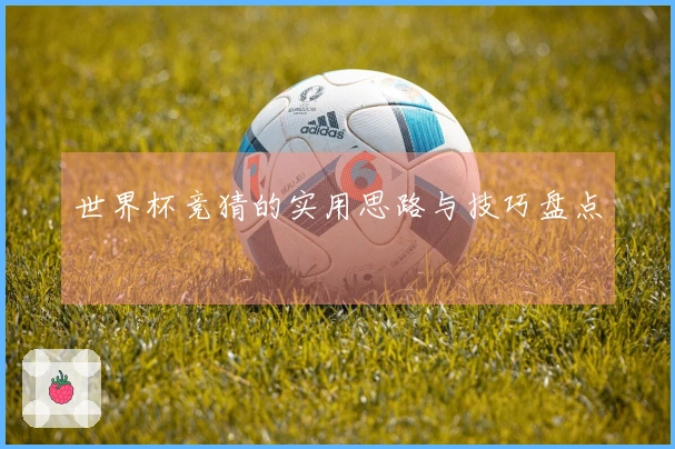 世界杯竞猜的实用思路与技巧盘点