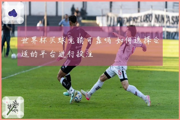 世界杯买球竞猜可靠吗 如何选择合适的平台进行投注