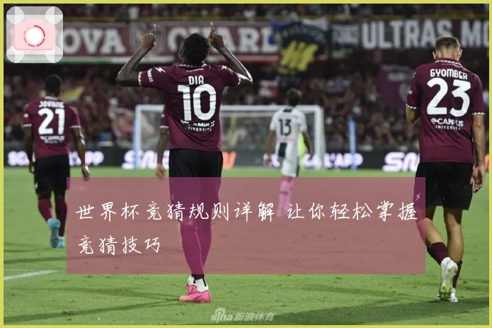 世界杯竞猜规则详解 让你轻松掌握竞猜技巧