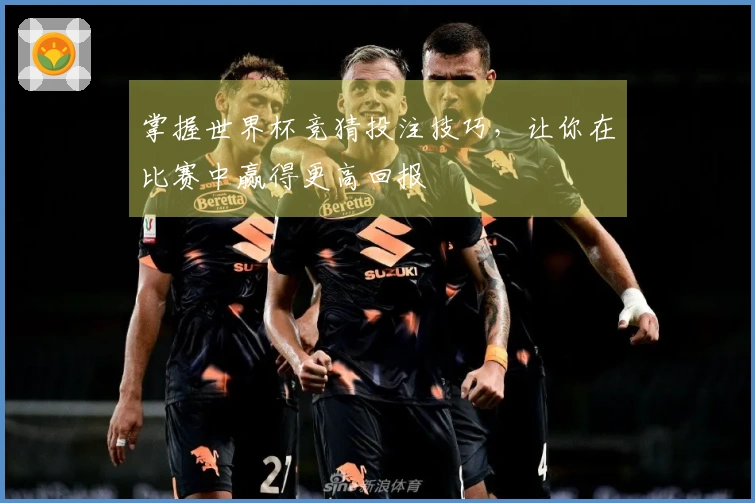 掌握世界杯竞猜投注技巧，让你在比赛中赢得更高回报