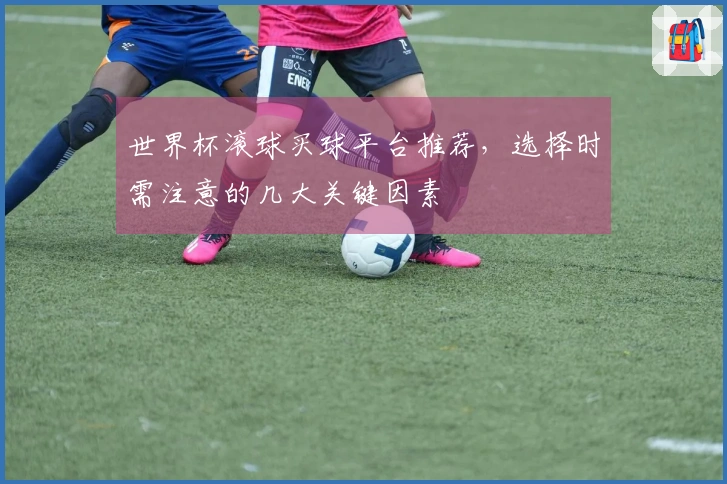 世界杯滚球买球平台推荐，选择时需注意的几大关键因素