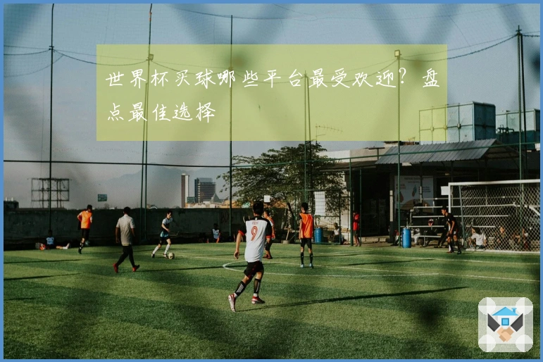 世界杯买球哪些平台最受欢迎?盘点最佳选择