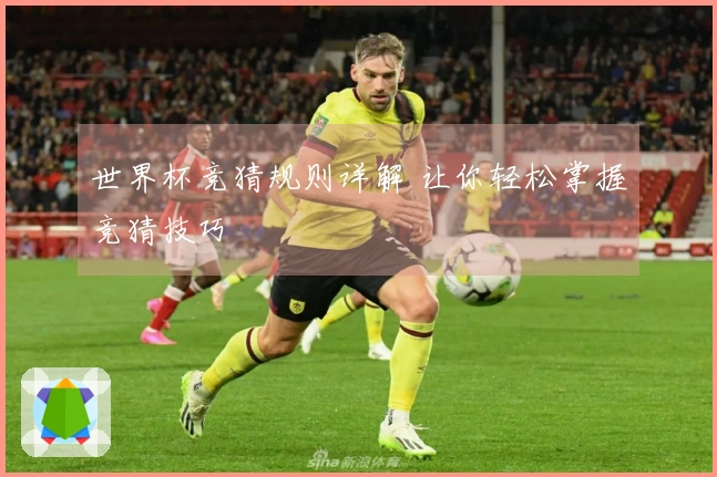 世界杯竞猜规则详解 让你轻松掌握竞猜技巧