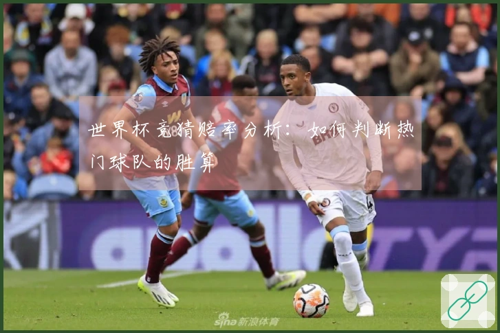 世界杯竞猜赔率分析：如何判断热门球队的胜算