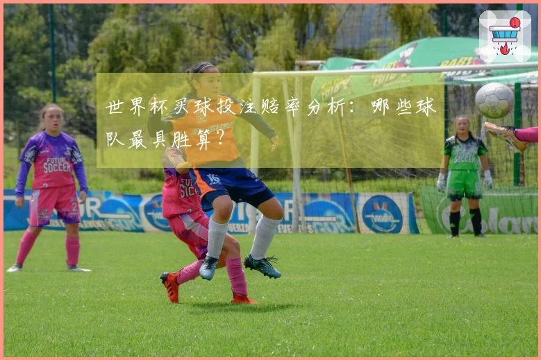 世界杯买球投注赔率分析：哪些球队最具胜算？