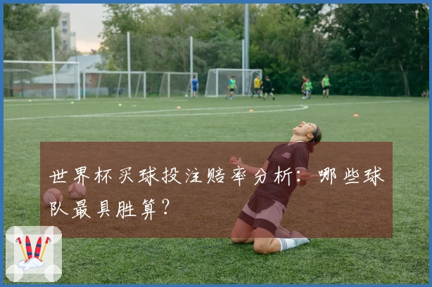 世界杯买球投注赔率分析：哪些球队最具胜算？
